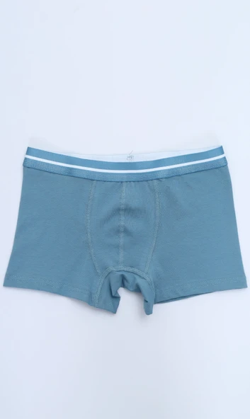 Toontoy Erkek Çocuk Hayvan Figürlü 4lü Paket Boxer - Resim 8