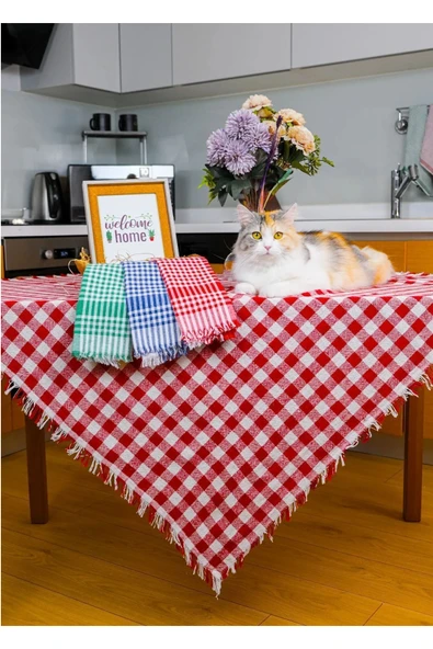 Çok Amaçlı Sofra Bezi & Piknik Sofrası & Masa Örtüsü Ekose Pötikare Desenli ürün görseli