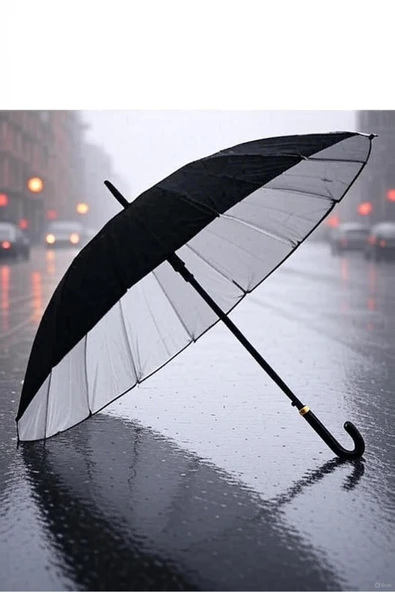 16 Telli Dışı Siyah Içi Gümüş Renk Baston Şemsiye Unisex Şemsiye 80 Cm (100cm çap) ürün görseli