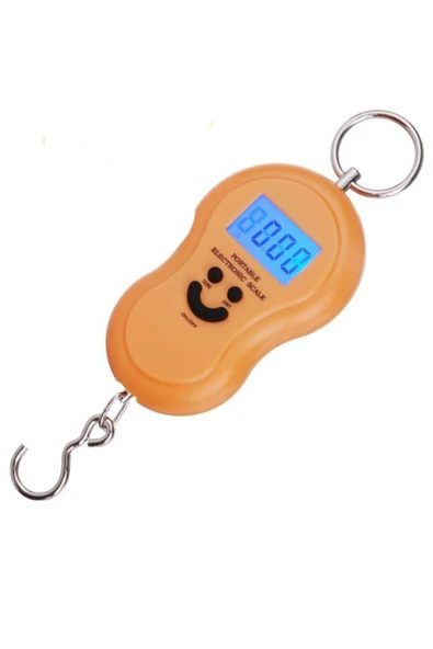 Elektronik Dijital El Kantarı 50 kg Terazi Tartı 10 gr Hassas ürün görseli