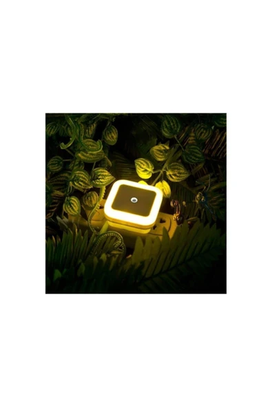 Sensörlü Beyaz Gece Lambası ürün görseli