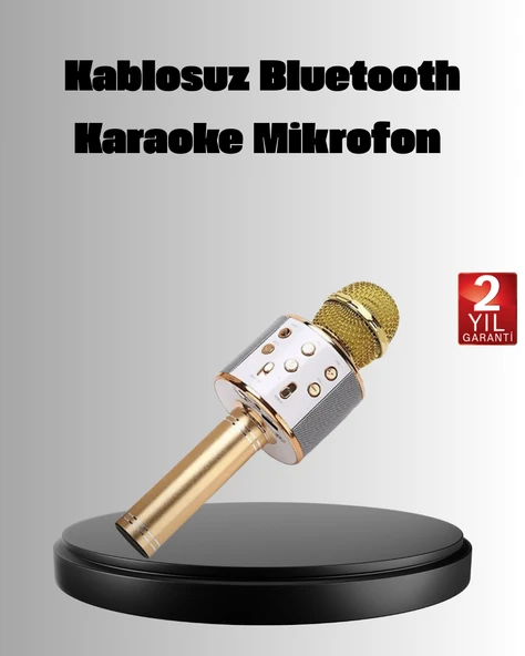 Kablosuz Karaoke Mikrofon USB AUX Destekli Parti ve Eğlence İçin ürün görseli