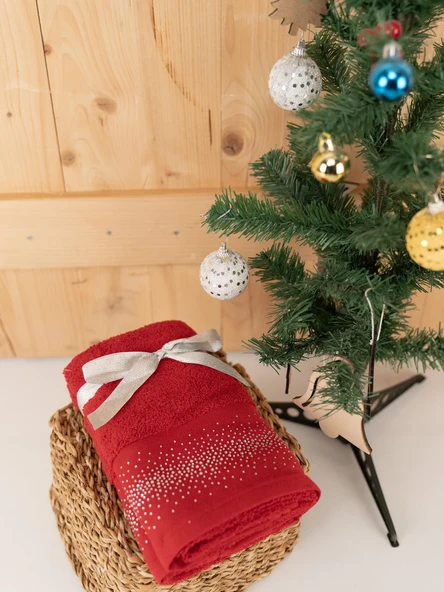 Pamuklu 2'li 40x70 cm Modern Nakışlı Hediyelik Havlu & Havlu Seti Baveno - Resim 4