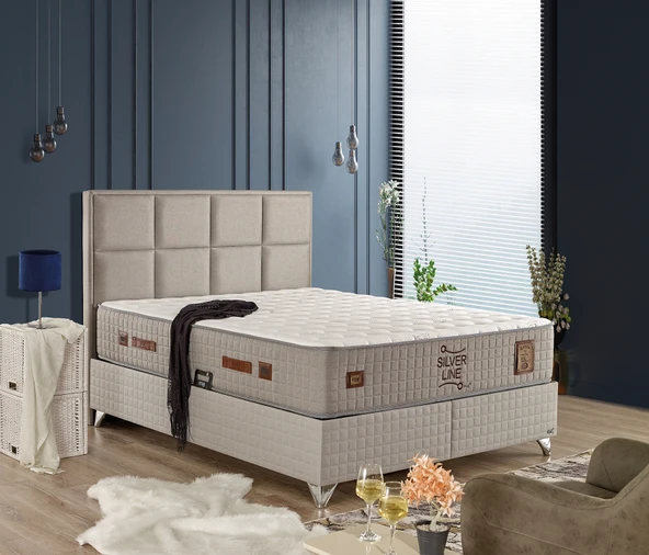 İmaj  SILVER LINE SET ürün görseli 1