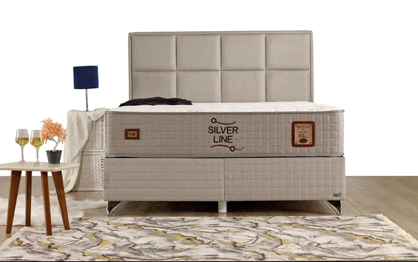 İmaj  SILVER LINE BAZA - Resim 3