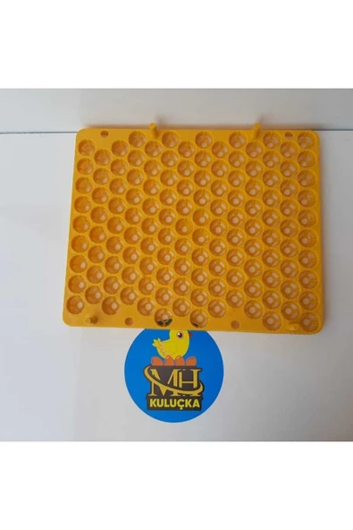 Bıldırcın Viyolü Kuluçka Makinesi Için 129 Yumurta 38x31 - Resim 3