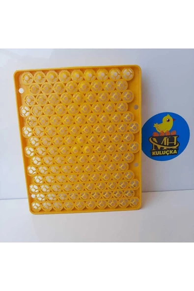 Bıldırcın Viyolü Kuluçka Makinesi Için 129 Yumurta 38x31 - Resim 2