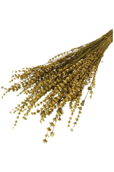 Şoklanmış Doğal Lavanta Demeti Lavender Bundle 40-50 cm ürün görseli