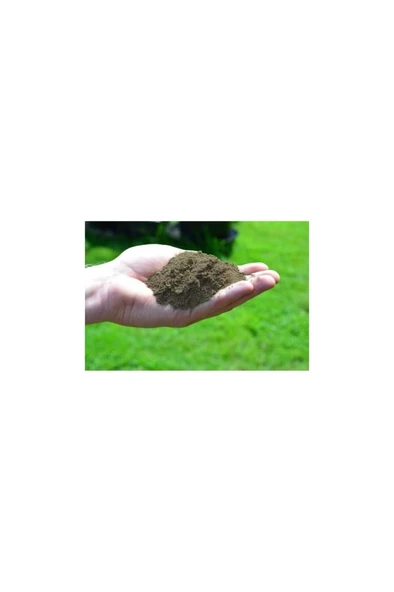 Special Cactus Soil Özel Kaktüs Toprağı 5 Kğ - Resim 2