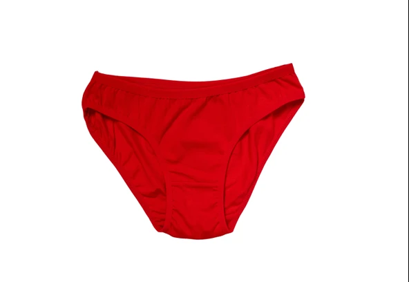 MDB MdbShop Kırmızı Yılbaşı Desenli Love New Year Pamuklu Külot - Resim 2