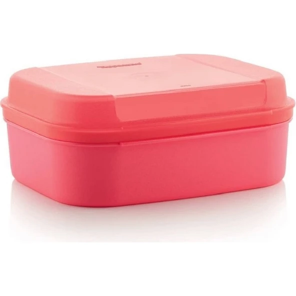 Tupperware Saklama Kabı F20 Midi Kurabiye Börek Beslenme Kabı Hsgl ürün görseli 1