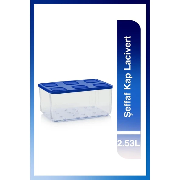 Tupperware Şeffaf Kap 2.53L Lacivert ürün görseli 1