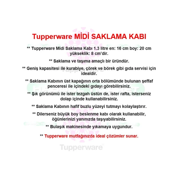 Tupperware Saklama Kabı F20 Midi Kurabiye Börek Beslenme Kabı Hsgl - Resim 3