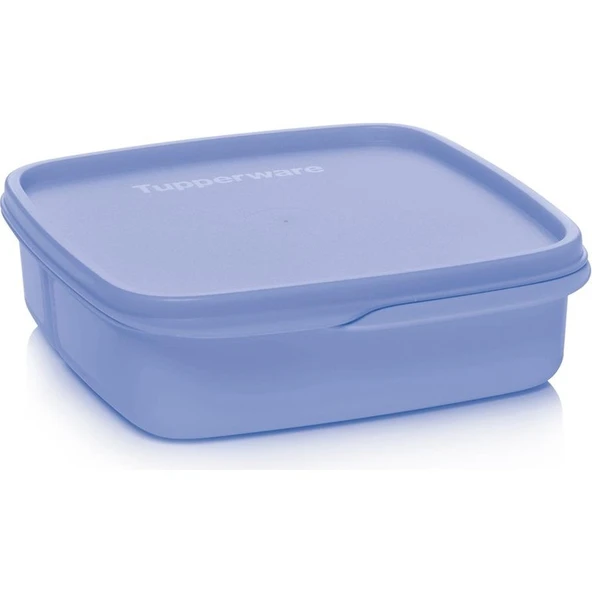 Tupperware Bölmeli Beslenme Kutusu 550 ml - Resim 2