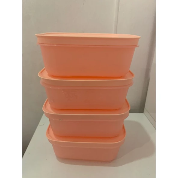 Tupperware Alaska 450 ml Derin Dondurucu Ve Buzdolabı Saklama Kabı 4 lü ürün görseli 1
