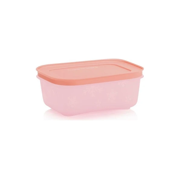 Tupperware Alaska 450 ml Derin Dondurucu Ve Buzdolabı Saklama Kabı 4 lü - Resim 2