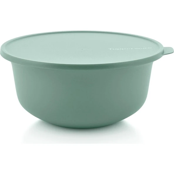 Tupperware Aloha 4 L Saklama Kabı Sızdırmaz Tasarım ile Mutfaklar İçin Renkli Seçenek ürün görseli 1