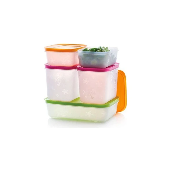 Tupperware Alaska Set 5'Li ( Derin Dondurucu İçin ) ürün görseli 1