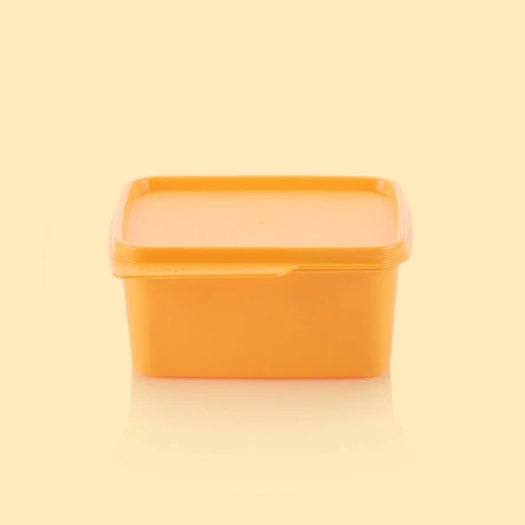 Tupperware Kare Saklama 500ML ürün görseli 1