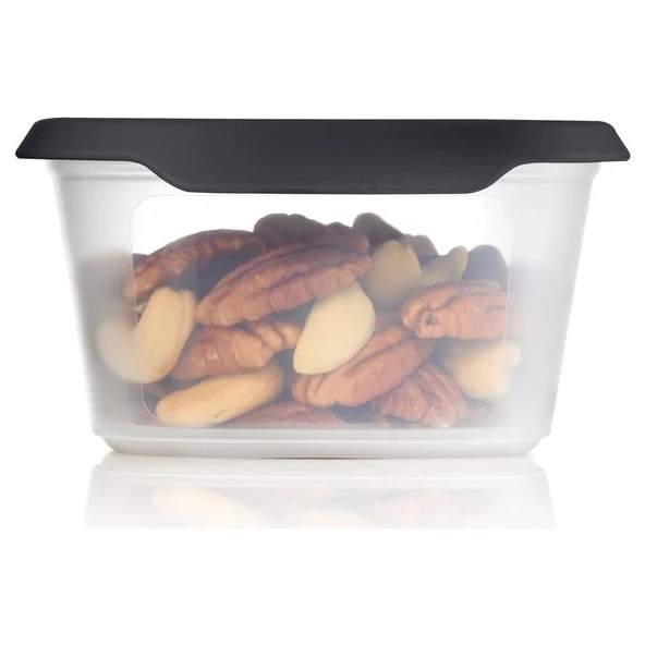 Tupperware Tek Dokunuş Oval 540ML Cosmos ürün görseli 1