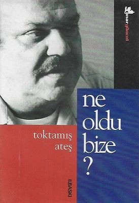 Ne Oldu Bize? Toktamış Ateş Çınar Yayınları ürün görseli