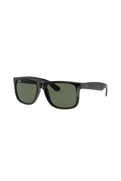 Ray-Ban Rayban RB 4165 601 71 55 Erkek Güneş Gözlüğü ürün görseli 1