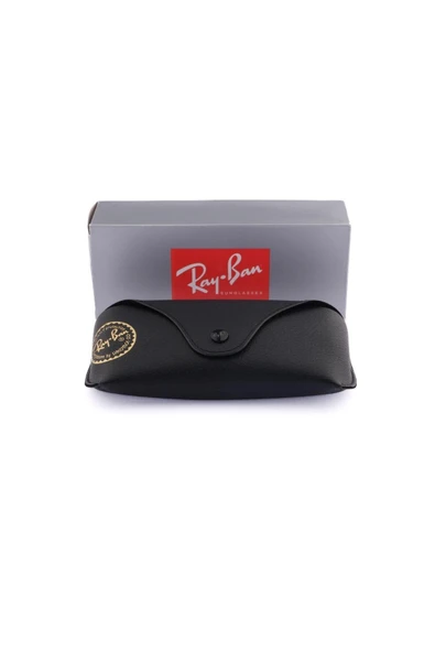 Ray-Ban RAYBAN RB4187 C.856/13 54-18 Güneş Gözlüğü - Resim 5