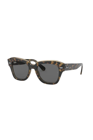 Ray-Ban 0RB 2186 1292B1 49 Unisex Güneş Gözlüğü ürün görseli 1