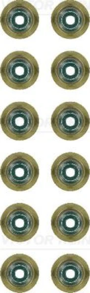 Bmw Supap Lastıgı Bmw F20 F30 E90 N55 N54 N53 N52 N51 B58 B48 B46 - Victor Reinz 12-37256-01 ürün görseli 1