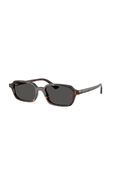 Ray-Ban 0RB 4455 135987 49 Unisex Güneş Gözlüğü ürün görseli 1
