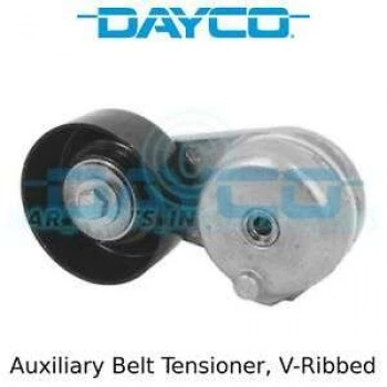 Japon V Kayıs Gergisi - . - Day Apv2447 - Resim 1