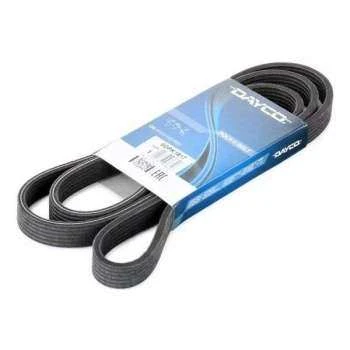 Bmw V Kayısı - V Kayısı - Day 6dpk1817 - Resim 1