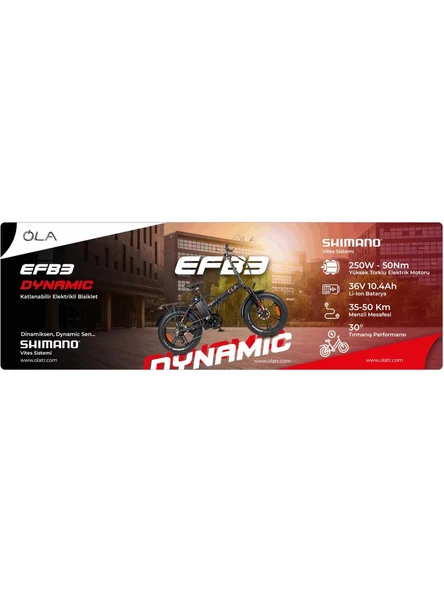 Ola Electrofold EFB3 250 W Katlanabilir Elektrikli Bisiklet - Resim 3