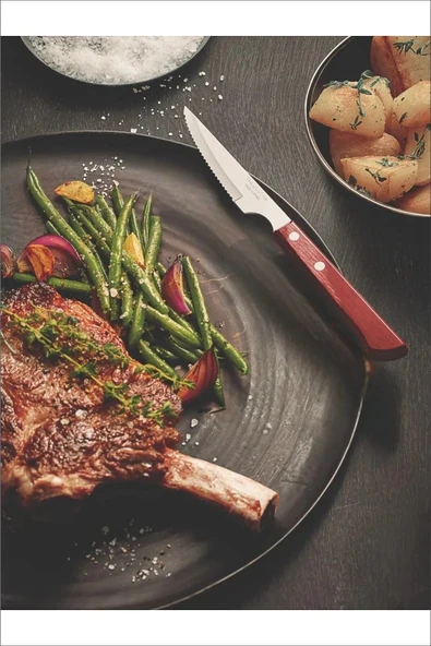 Pinkev Tramontina 6lı Set Paslanmaz Çelik Polywood Sap Steak Et Bıçağı - Resim 2