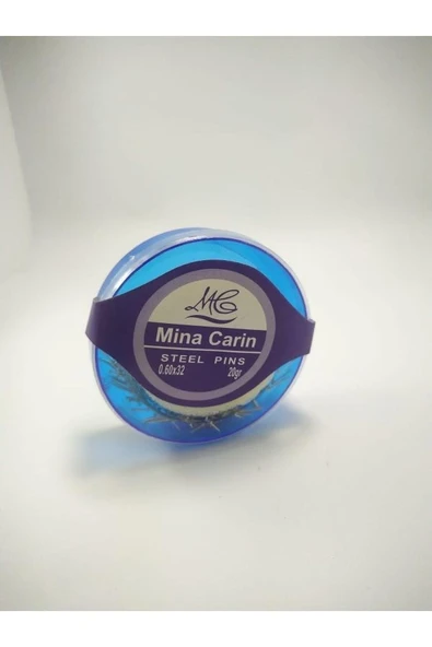 Kampus Kırtasiyem Çelik Toplu Iğne 20 Gram - Resim 2