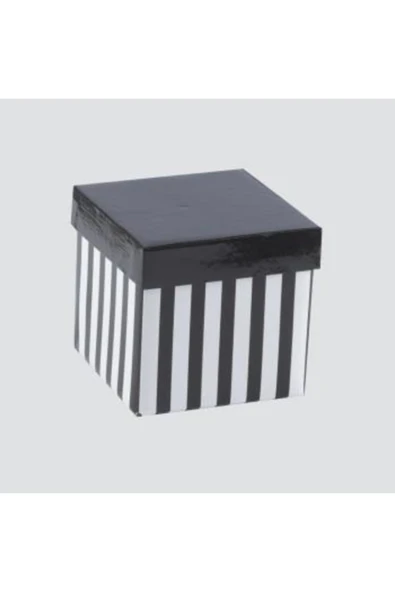 Kampus Kırtasiyem Katlanabilir Hediye Kutusu Xs 10*10 Cm ürün görseli