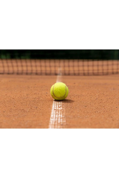 Hsport 3'lü Paket Yüksek Sekmeli Dayanıklı Antreman Yarı Profesyonel Tenis Topu - Resim 2