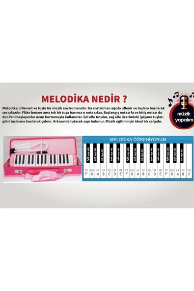 Ticon Temat Melodika 32 Tuşlu Çantalı Pembe Renk Bez Çantalı Taşıma Kulplu - Resim 4