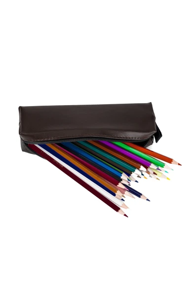 Kampüs Kırtasiyem Suni Deri Koyu Kahverengi Kalem Kutusu Karma renkler - Resim 4