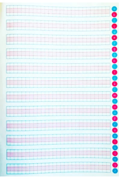 Ema Kitap 24 Yaprak A4 Büyük Boy Standart Kılavuz Çizgili Güzel Yazı Defteri 2 Adet - Resim 3