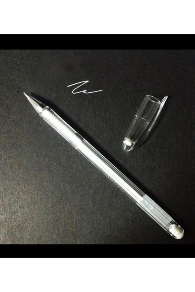 Pensan Siyah Yapraklı Defter Blacksketch Ve Beyaz Kalem - Resim 7