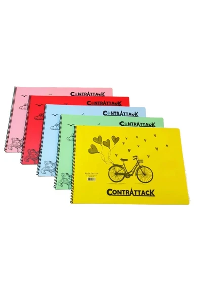 GÖNÜL YAYINCILIK Plastik Pp Kapak Spiralli Resim Defteri 35 X 50 Cm 25 Yaprak 1 Adet ürün görseli 1