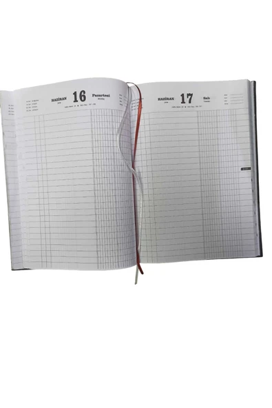 mcolor TİCARİ AJANDA 17X24  2025 - Resim 2