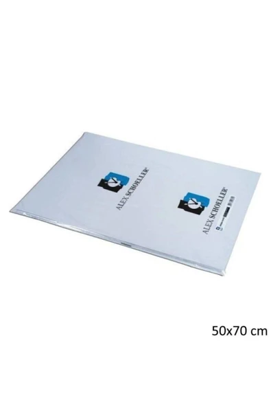 Alex Schoeller Amerikan Bristol Karton 50x70 Cm. 100`lü Paket ürün görseli 1