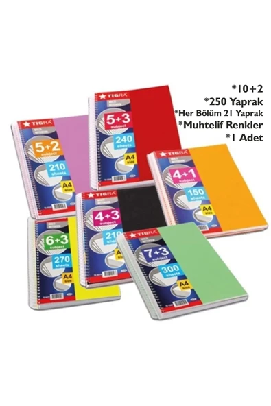 Zersan U4 8+4 Bölümlü 300 Yaprak A4 Sipralli Ayraçlı Defter 8 Kareli 4 Çizgili Çoklu Defter - Resim 4