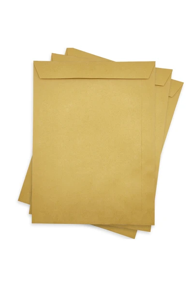 Limmy Zarf A4 boyutunda Formula Torba Zarf 24x32 cm - 50 Adet ürün görseli 1