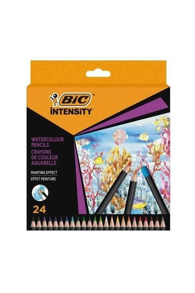 Bic Kırtasiye Intensty Kuru Sulu Boya 24 Lü 511727 ürün görseli 1