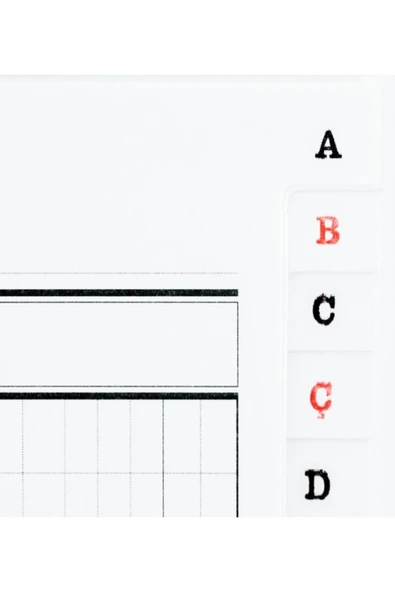 Bayındır Elma Baım Ticari Fihrist 20x28 Cm 12 Yaprak No:3 4001 Bfh0222 - Resim 2