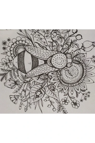 Ema Kitap Büyüklere Boyama Kitabı. Hayallerini Boya 12' Li Büyük Boy Kuru Boya Kalemi - Resim 4