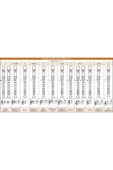 Helvacıoğlu Melodika Soprano Blok Flüt Pembe Renk. Karton Kutulu 1 Adet - Resim 2